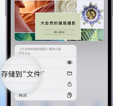 虎丘apple维修中心分享iPhone文件应用中存储和找到下载文件