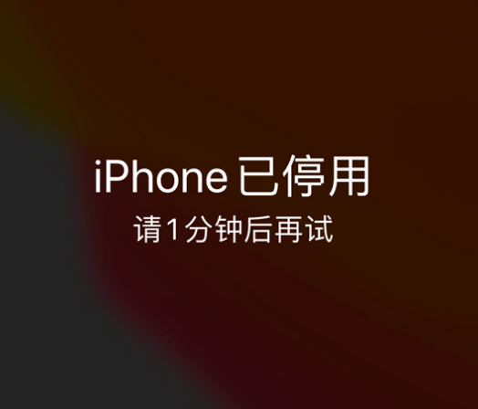 虎丘苹果手机维修分享:iPhone 显示“不可用”或“已停用”怎么办？还能保留数据吗？ 