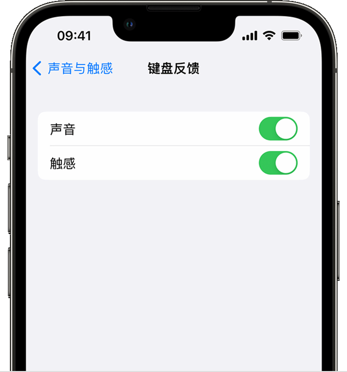 虎丘苹果14维修店分享如何在 iPhone 14 机型中使用触感键盘 