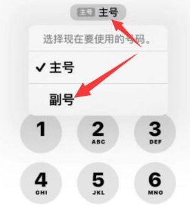 虎丘苹果14维修店分享iPhone 14 Pro Max使用副卡打电话的方法 