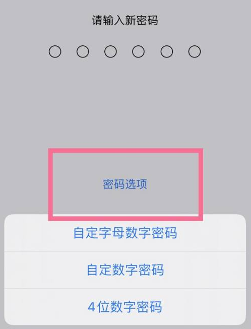 虎丘苹果14维修分享iPhone 14plus设置密码的方法 