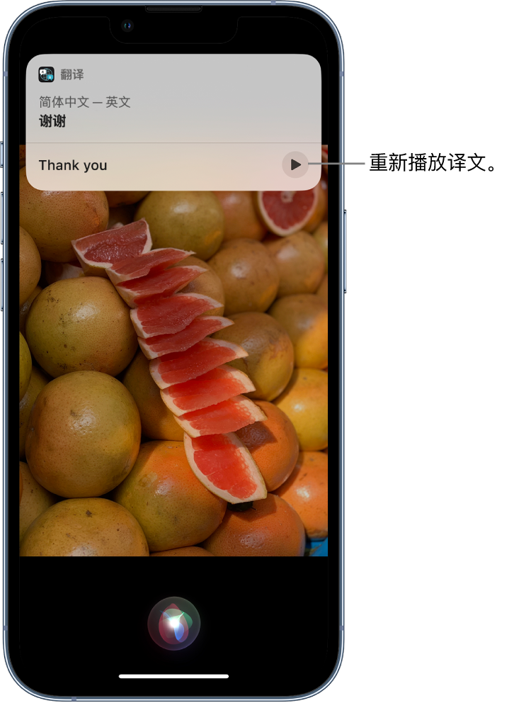 虎丘苹果14维修分享 iPhone 14 机型中使用 Siri：了解 Siri 能帮你做什么 