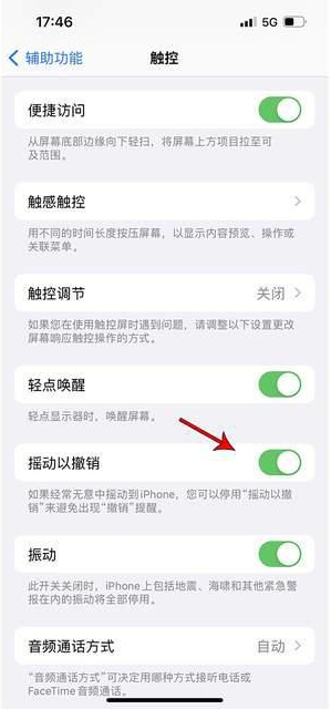 虎丘苹果手机维修分享iPhone手机如何设置摇一摇删除文字 